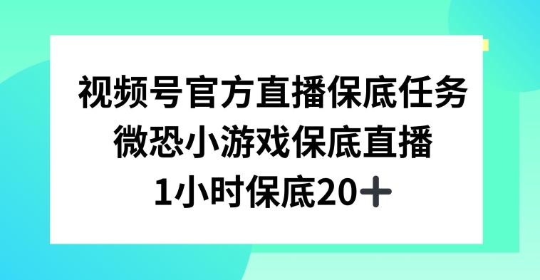 视频号直播任务,微恐小游戏,1小时20+【揭秘】