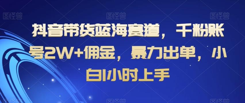 抖音带货蓝海赛道,千粉账号2W+佣金,暴力出单,小白1小时上手【揭秘】