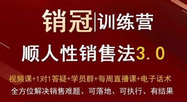 爆款！销冠训练营3.0之顺人性销售法，全方位解决销售难题、可落地、可执行、有结果-白一资源汇