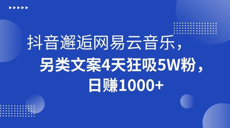 抖音邂逅网易云音乐，另类文案4天狂吸5W粉，日赚1000+【揭秘】-白一资源汇
