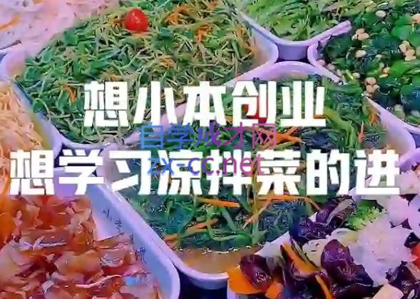 李记·精品凉拌菜系列热卤系列教程-白一资源汇