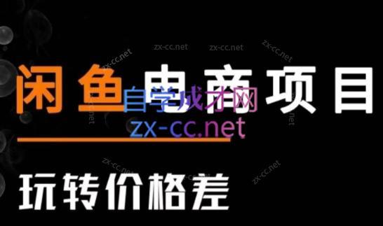 亿创繁星·闲鱼电商项目(玩转价格差)-白一资源汇