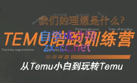 苗苗·拼多多跨境（temu）课程-白一资源汇