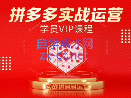 推易电商·拼多多实战运营课(更新2025月)-白一资源汇