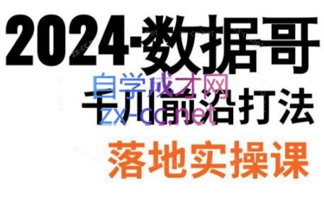 数据哥·2024年千川前沿打法落地实操课-白一资源汇