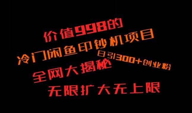 闲鱼流量印钞机项目大揭秘，日引300+创业粉，保姆级实操教程-白一资源汇