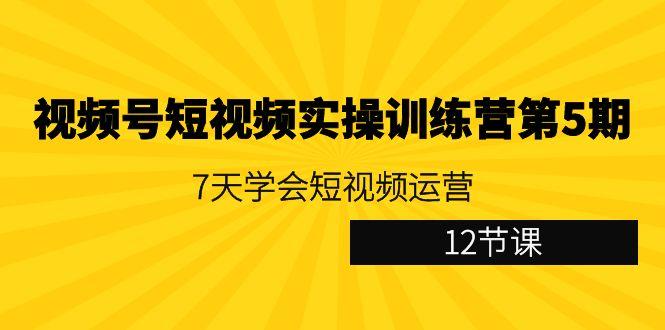 视频号短视频实操训练营第5期：7天学会短视频运营(12节课)-白一资源汇