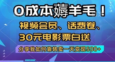 0成本薅羊毛!视频会员、话费卷、30元电影票白送,分享我如何靠转卖一天变现5张+【揭秘】-白一资源汇