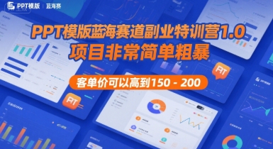 PPT模版蓝海赛道副业特训营1.0，项目非常简单粗暴，客单价可以高到150-200-白一资源汇
