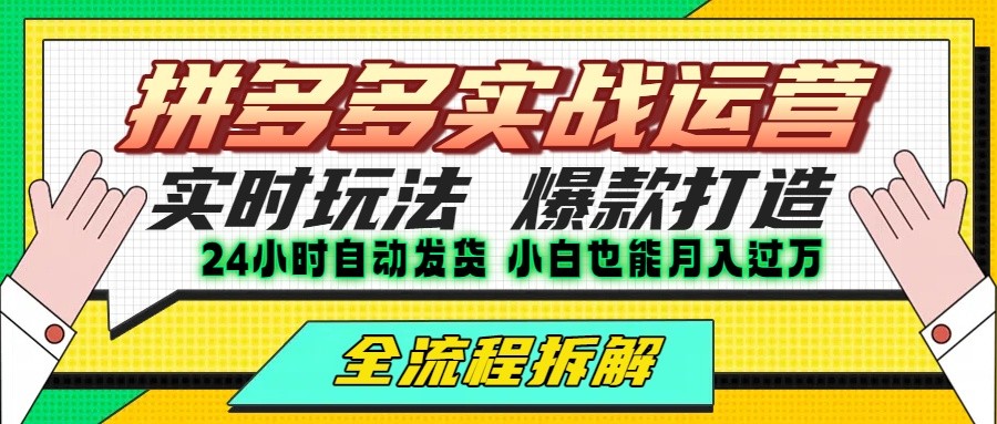 拼多多最新实战运营高投产：长久稳定项目，单店利润一天三位数-白一资源汇