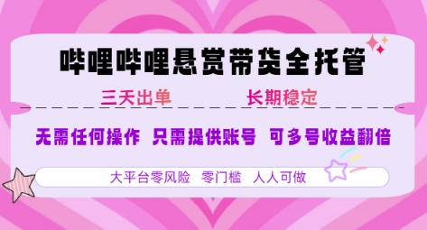 2025年B站风口带货项目 仅需提供账号 全程托管 轻松月入1w+-白一资源汇