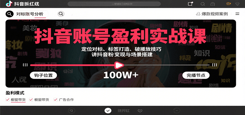 抖音账号盈利实战课，定位对标、标签打造、破播放技巧，讲涨粉变现与场景搭建-白一资源汇