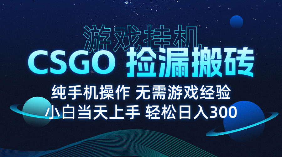 8月最新游戏搬砖，CSGO纯挂机，不需要玩游戏，实现真挂机，月入1W+-白一资源汇
