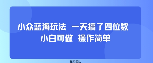 小众蓝海玩法 一天搞了四位数 小白可做 操作简单-白一资源汇