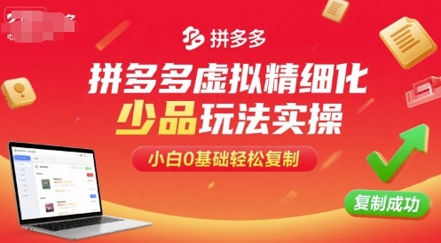 拼多多虚拟精细化少品玩法实操，小白0基础轻松复制-白一资源汇